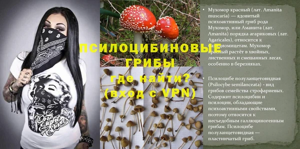 амф Богородицк