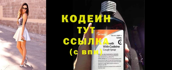 индика Богданович