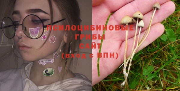 индика Богданович
