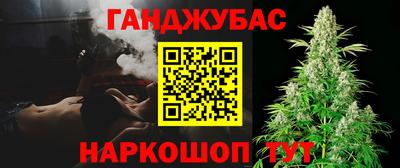 гашик Аргун
