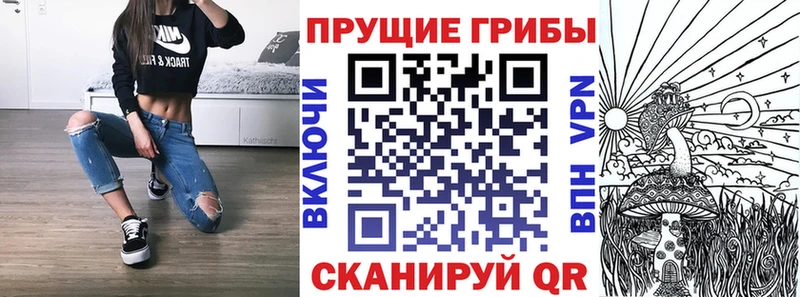 OMG как войти  Верхняя Салда  Псилоцибиновые грибы Psilocybine cubensis 