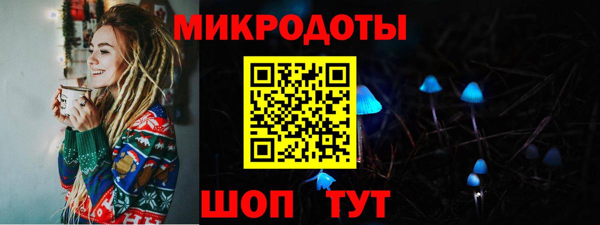 Псилоцибиновые грибы Psilocybe  Вход с VPN  Верхняя Салда  Галлюциногенные грибы прущие грибы 